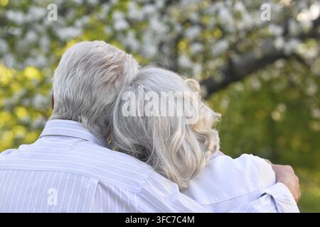 Älteres Paar steht zusammen im Gras im Sommer. Blick von hinten Stockfoto