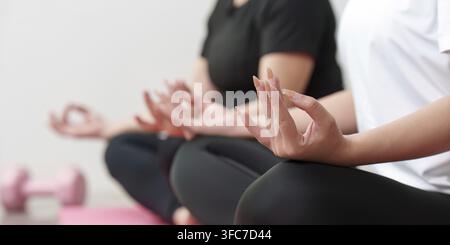 Zwei asiatische Frauen, eine ältere und eine junge Erwachsene, üben zu Hause in einer friedlichen Lotus-Pose auf Yogamatten die Meditation Stockfoto