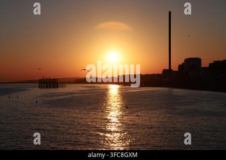 Silhouette der Westpier-Ruinen und des i360-Turms bei Sonnenuntergang in der Goldenen Stunde mit Möwen über dem Meer in Brighton, East Sussex, England. Stockfoto