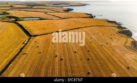 Runde Heuballen, die über abgeerntete goldene Felder entlang der Küste von Pembrokeshire in Wales verstreut sind, das Abendsonnenlicht wirft lange Schatten über Klippen und Stockfoto