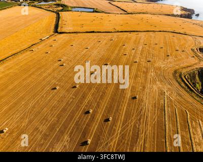 Hohe Drohnenaufnahme von landwirtschaftlichem Ackerland nach der Ernte, geometrische Traktorlinien und runde Strohballen neben Klippen mit Blick auf das Meer Stockfoto