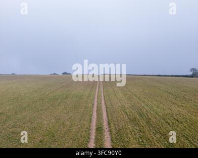 Eine Luftperspektive zeigt einen schwachen Pfad, der sich durch ein weites, gedämpft grünes Feld unter einem schweren, nebligen Himmel schlängelt. Die ländliche Landschaft von Lanreath, Corn Stockfoto