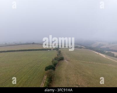 Eine weiche, ätherische Atmosphäre umhüllt die sanften grünen Felder und Hecken von Lanreath, Cornwall, an einem nebligen, dunstigen Morgen. Stockfoto