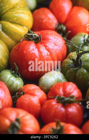 Makro-Nahaufnahme von Erbtomaten mit Wassertropfen. Frisches Bio-Gemüse, natürliche Texturdetails Stockfoto