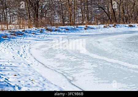 Tierspuren im Schnee um einen gefrorenen Teich in Oklahoma mit braunen Bäumen im Hintergrund. Stockfoto