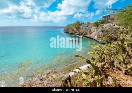 Das türkisfarbene Wasser und die felsigen Küstenklippen, eingerahmt von grünen Kaktuspflanzen entlang des Ufers am Jeremi-Strand auf Curaçao. Stockfoto
