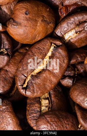 Bio-Rohkaffeebohnen in Espresso-Trocknung in einem Haufen Stockfoto