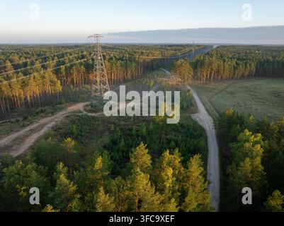 Luftaufnahme von Hochspannungsleitungen, die einen Kiefernwald in Lettland bei Sonnenaufgang kreuzen Stockfoto