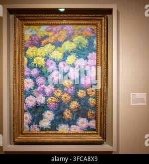 Minneapolis, MN - 23. Aug. 25: Chrysanthemengemälde von Claude Monet, das in einem Rahmen im Minneapolis Institute of Art ausgestellt ist. Stockfoto