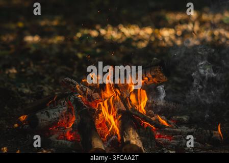 Helle Flammen eines Lagerfeuers, das nachts in einem Wald brennt, Camping, Outdoor-Freizeit und Abenteuerkonzept. Stockfoto