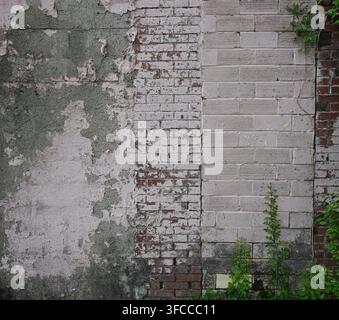 Verwitterte Mehrfachoberflächenwand mit abgenutztem rosafarben gestrichenem Betonziegel und strukturierter Mauerarbeit neben grüner Vegetation Stockfoto