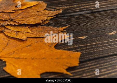 Eine Sammlung von trockenen Herbstblättern ruht auf einer dunklen Holzoberfläche. Es ist Platz für Text oder Design. Stockfoto