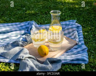 Frisch zubereitete hausgemachte Zitronenlimonade, serviert in einer Glaskaraffe und zwei Trinkgläsern auf einem rustikalen Holztray, das auf einer karierten Picknickdecke liegt Stockfoto