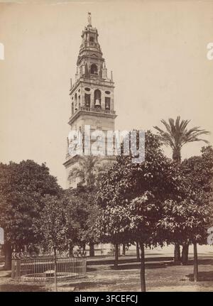 CÓRDOBA. Vista del patio de los Naranjos., Blick auf den Glockenturm der Mezquita in Córdoba mit Orangenbäumen im Vordergrund, Fotografie, Inschrift: 'S. Bouwk.', Nummer: '2151.', Fotograf: Juan Laurent, Córdoba, ca. 1875 - ca. 1900, Andalusien, Papier, Karton, Albumindruck, Höhe 334 mm x Breite 240 mm, Kirchenglocke, Turm, Glockenturm, monumentale Verzierung, Früchte: Orange., Ein hoher, verzierter Turm erhebt sich über einem Garten und zeigt mehrere Stockwerke mit gewölbten Öffnungen und sichtbaren Glocken, dekorative Steinbalustraden und bildhauerische Details; eine Gruppe von Bäumen und Palmen füllt den Vordergrund, ihre Stockfoto