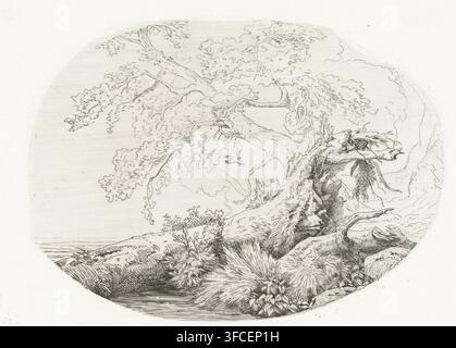Entwurzeltes Baumstamm an der Küste, Druck, Ein entwurzeltes Baumstamm liegt an der Küste eines Sees. Schneebedeckte Berggipfel sind auf der gegenüberliegenden Seite zu sehen., Druckgrafiker: Pierre Louis Dubourcq, Niederlande, 1854 - 1856, Papier, Radierung, Höhe 205 mm x Breite 265 mm, Küste, Baumgruppen, Gebirgszug, Schneegipfel., Eine kreisförmige Schwarz-Weiß-Linienzeichnung einer Naturlandschaft mit einem großen, knorrigen Baum mit ausladenden Ästen und dichtem Laub, einem gefallenen Stamm und freiliegenden Wurzeln, Grasbüscheln und verschiedenen Pflanzen, die um die Basis wachsen, einem kleinen Gewässer am unteren Rand mit Wellenbewegungen Stockfoto