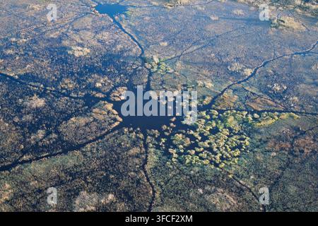 Luftaufnahme der Wasserwege und Ebenen des Okavango-Deltas Stockfoto