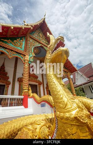 Dok kham tai, Phayao, Thailand - 27. August 2026: Wat Don Lek, goldene Nagastatue neben einem rot gedeckten Tempelgebäude Stockfoto