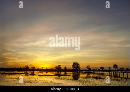 Sonnenuntergang über Reisfeldern, Provinz Takeo, Kambodscha, September 1988 Stockfoto