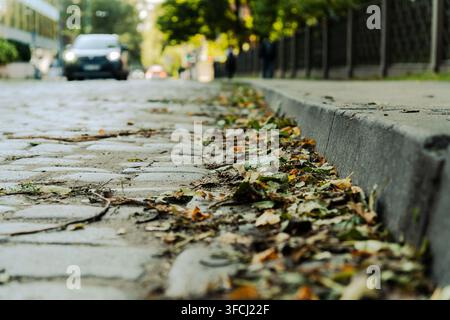 Gefallene Blätter und Geröll entlang eines Straßenrandes mit verschwommenem Fahrzeugverkehr im Hintergrund einer städtischen Straße Stockfoto