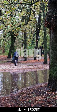 Ein Radfahrer fährt ein Fahrrad entlang eines regennassen Pfades mit Herbstblättern und Wasserreflexionen in einem öffentlichen Park. Stockfoto