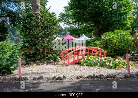 Rote gewölbte Fußgängerbrücke, umgeben von alten Bäumen und Zierpflanzungen in einem japanisch angelegten Landschaftsgarten in Dartmouth, UK. Stockfoto