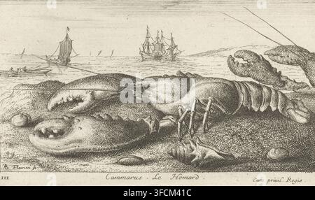 Hummer am Strand, Cammarus. Le Homard, Fische und andere Meereskreaturen – Salzwasser erste Serie, Diverses Especes de Poissons de mer, Druck, Seriennummer, 3, 12, Drucker: Albert Flamen, Paris, Verleger: Jacques van Merlen, Privilegiengeber: Louis XIV. (König von Frankreich), Frankreich, 1664, Papier, Radierung, Höhe 106 mm x Breite 179 mm, Krebstiere: Hummer. Eine detaillierte Monochrom-Radierung zeigt einen großen Hummer, der mit ausgeprägten Scheren, einem segmentierten Körper, gegliederten Beinen und Antennen an einem Ufer liegt; Muscheln und Kieselsteine liegen in der Nähe auf dem strukturierten Sand; im Hintergrund erstreckt sich ein ruhiges Meer bis zum Stockfoto