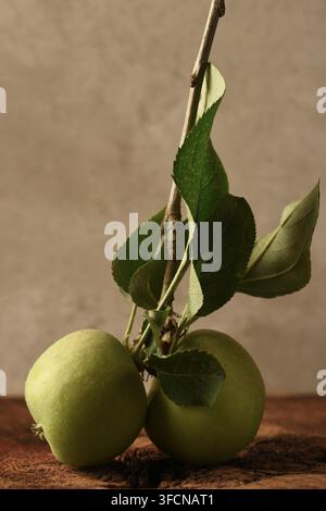 Stillleben mit Äpfeln. Nahaufnahme von zwei grünen Äpfeln, die an einem Ast mit Blättern auf einem rustikalen Holztisch und einem gesprenkelten grauen Hintergrund befestigt sind. Stockfoto