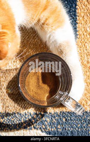 Eine Nahaufnahme von oben eines durchsichtigen Glasbechers, der Instantkaffegranulat enthält, mit einer flauschigen Katzenpfote in der Nähe. Stockfoto
