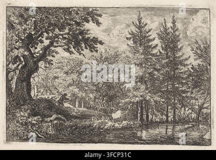 Waldsee mit Kiefern, Druck, Landschaft mit Kiefern am Wasser. Unter einem großen Baum im Vordergrund geht ein Mann mit einem Stock über der Schulter., Graphiker: Allaert van Everdingen, Niederlande, 1631 - 1675, Papier, Radierung, Höhe 99 mm x Breite 148 mm, Wald, Holz (+ Landschaft mit Figuren, Staffage)., Eine detaillierte Tintenlandschaft, die einen großen, knorrigen Baum mit strukturierter Rinde links zeigt, dessen ausladende Äste nach innen reichen, eine Gruppe dichter Laubbäume und Sträucher, die den mittleren Bereich füllen, und mehrere hohe, schmale Nadelbäume rechts. Ein kleines Dach Stockfoto