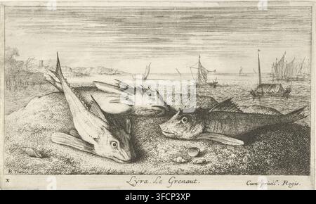 Drei Salzwasserfische am Strand, Lyta, Le grenaut., Fische und andere Meereskreaturen - Salzwasser erste Serie, Diverses Especes de Poissons de mer, Druck, Seriennummer, 10, 12, Drucker: Albert Flamen, Paris, Verleger: Jacques van Merlen, Privilegiengeber: Louis XIV (König von Frankreich), Frankreich, 1664, Papier, Radierung, Höhe 105 mm x Breite 170 mm, Fische., Eine detaillierte Monochromradierung zeigt eine Uferlandschaft mit einer Gruppe mehrerer Fische, die im Vordergrund auf strukturiertem Sand oder Kieselsteinen liegen, ihre Körper überlappen und Flossen ausgebreitet sind. Einige kleine Muscheln und verstreute Seetang liegen in der Nähe der Fische. Stockfoto
