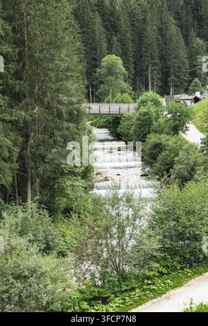 Beruhigende Waldszene mit einem kleinen Wasserfall und einer Holzbrücke, umgeben von üppiger Vegetation. La Villa, Dolomiten, Italien. Stockfoto