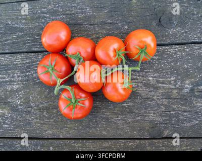 Bündel reifer roter Tomaten an der Ranke, die auf verwitterten Holzbrettern ruhen, von oben aufgenommen mit rustikaler Textur und natürlichem Licht. Stockfoto