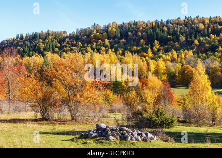 Landschaftsansicht mit Herbstfarben an einer Bergseite Stockfoto