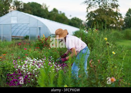 Frau mit Strohhut erntet Blumen in einem Garten Stockfoto