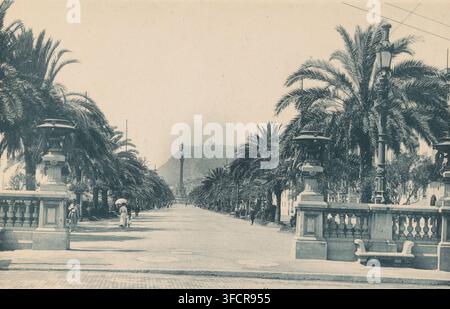 Ansicht des Paseo de Colón mit dem Columbus-Denkmal in Barcelona, Paseo de Colón, Seite, photomechanischer Druck, Nummer: '-7-', Hersteller: Hauser y Menet, Barcelona (Stadt), ca. 1880 - vor oder um 1890, Katalonien, Papier, Kollotypie, Fotodruck, Höhe 109 mm x Breite 171 mm, Denkmal, Statue, Allee, Boulevard im Dorf (+ Stadt(-bild) mit Figuren, Staffage). Eine breite, von Bäumen gesäumte Promenade erstreckt sich in die Ferne, flankiert von hohen Palmen und verzierten Steinbalustraden mit Lampenpfosten auf Sockeln, mit dekorativen urnenartigen Beleuchtungsgeräten in der Nähe des Gehwegs und einer großen Säule, die von einer Statue gekrönt ist Stockfoto