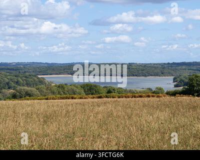 Blick über das Bewl Water Reservoir von den umliegenden Hügeln, bewaldete Landschaft, Kent/East Sussex, UK. Stockfoto