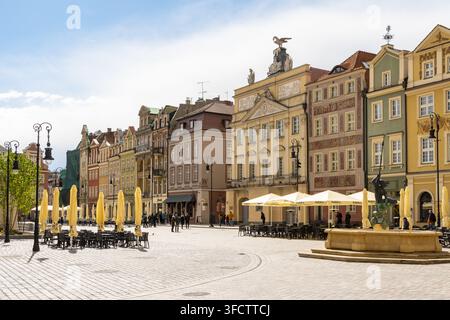 Blick auf den historischen Alten Marktplatz in Posen mit farbenfrohen Stadthäusern, dem Proserpina-Brunnen und Außengastronomie in Posen, Großpolen Stockfoto
