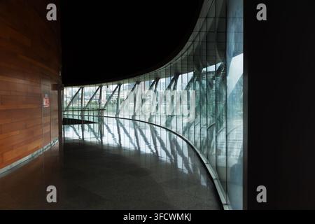Gebogene Glaswand taucht den Korridor in weiches natürliches Licht. Warme Holzpaneele kontrastieren mit schickem modernem Design. Reflektierender Boden verstärkt die Eleganz des Raums Stockfoto