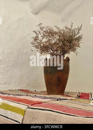 Antiker Tonvasen mit getrockneten Blumen in einem einfachen weißen historischen Interieur. Stockfoto