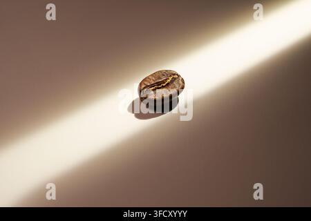 Einzelne geröstete Kaffeebohne, die von einem diagonalen Lichtstrahl auf einem beigen Hintergrund beleuchtet wird, Studiomakroaufnahme. Stockfoto