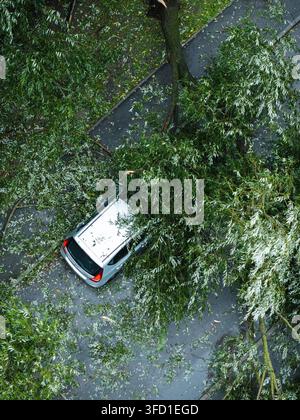 Luftaufnahme eines silbernen Autos, das durch einen großen umgestürzten Baum auf einer Asphaltstraße nach einem schweren Sturm in Riga, Lettland, beschädigt wurde Stockfoto