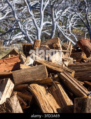 Stapel gespaltenen Feuerholzes im Vordergrund mit blassen Baumstämmen und Ästen, die im Hintergrund weich verschwommen sind und eine geschichtete Waldszene erzeugen. Stockfoto