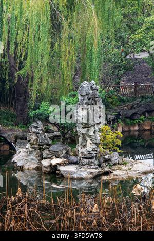 Einziger aufrechter Taihu-Gelehrtenstein, der auf einer kleinen Insel steht, umgeben von ruhigem Wasser und Trauerweiden im Guyi-Garten in Shanghai. Stockfoto