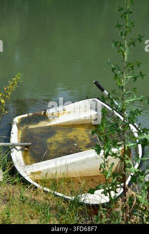 Verlassenes, teilweise versunkenes kleines Beiboot, gefüllt mit trübem Wasser und Algen, das auf einem grasbewachsenen Ufer neben grünem Wasser ruht. Stockfoto