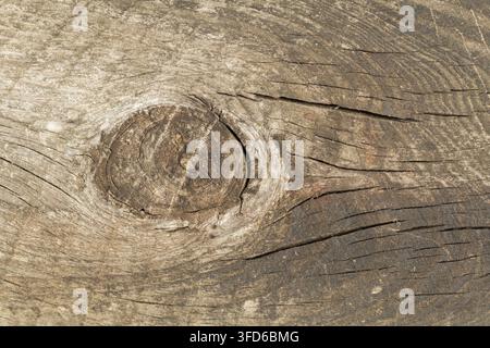 Nahaufnahme einer verwitterten Holzoberfläche mit einem natürlichen Astloch Stockfoto