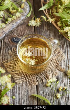 Eine Tasse Kräutertee mit frischen Lindenblüten im Frühling Stockfoto