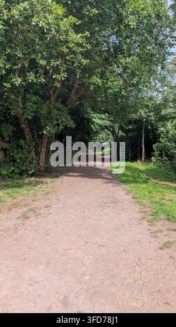 Ein malerischer Feldweg schlängelt sich durch üppige grüne Bäume und Laub und führt zu einem offenen hölzernen Bauerntor in der schottischen Landschaft. Stockfoto