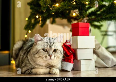 Gemütliche Weihnachtsmomente: Eine zufriedene Katze, die sich zwischen bunten Geschenken unter dem funkelnden Baum einkuschelt und den Feiertagsgeist mit Wärme und Freude umarmt. Stockfoto