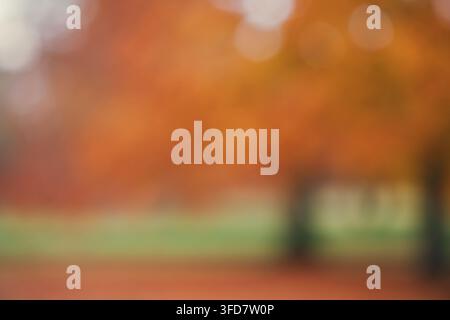Ein absichtlich unscharfes abstraktes Foto, dominiert von satten, warmen orangefarbenen und brennrotem Herbstlaubton, unterbrochen von sanft glühendem Bokeh-Lig Stockfoto