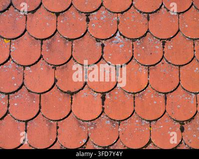 Nahaufnahme von gealterten roten Ziegelwellplatten mit dunklen Nähten und blassem Flechtenbewuchs, die eine rustikale architektonische Textur erzeugen Stockfoto